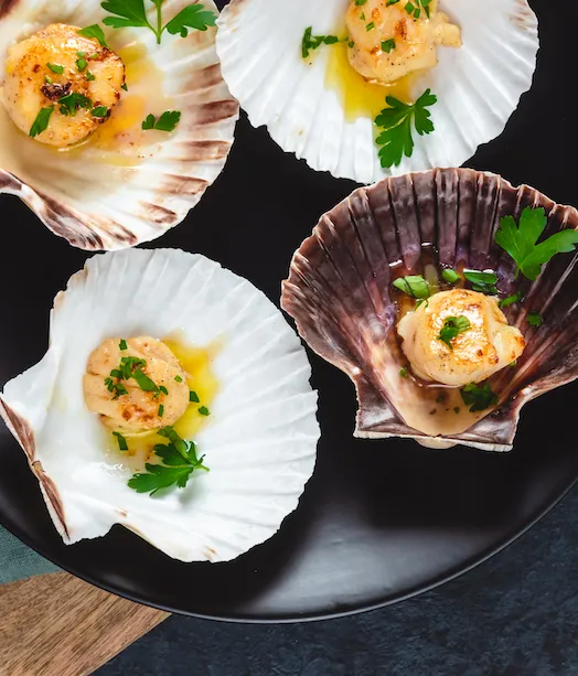 Japanse coquilles